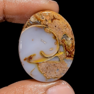Mind Blowing A One kwaliteit 100% natuurlijke gastropoden fossiele schelp ovale cabochon edelsteen voor het maken van sieraden 37 kt. 31 x 25 x 5 mm G-3068