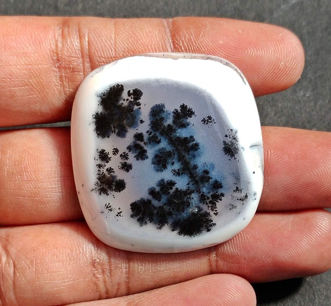 adult dendrite opal adult dendrite opal