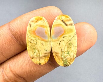 May include: Two oval-shaped gemstones with a mix of yellow, orange, and brown hues. Each stone has a central, light pinkish-purple area and intricate veining patterns. The gemstones are held against a gray background.