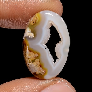 Verleidelijk van kwaliteit 100% natuurlijk venster gastropoden fossiele schaal Druzy ovale cabochon edelsteen voor het maken van sieraden 13 kt 23X15X5mm G-3074