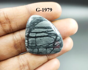 May include: A gray and black cabochon gemstone with a unique pattern. The stone is approximately 2 inches long and 1.5 inches wide. The stone is labeled "G-1979".