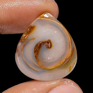 Prachtige A One-kwaliteit 100% natuurlijke gastropoden fossiele schelp peervorm cabochon losse edelsteen voor het maken van sieraden 17,5 kt. 24 x 21 x 4 mm G-3064