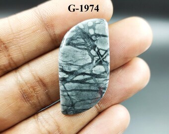 May include: A gray and black cabochon gemstone with a unique pattern. The gemstone is shaped like a half-circle and has a smooth, polished surface. The text "G-1974" is visible in the image.