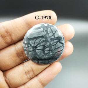 May include: A round, gray and black stone cabochon with a unique, tree-like pattern. The stone is approximately 2 inches in diameter. G-1978