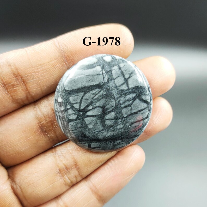 May include: A round, gray and black stone cabochon with a unique, tree-like pattern. The stone is approximately 2 inches in diameter. G-1978