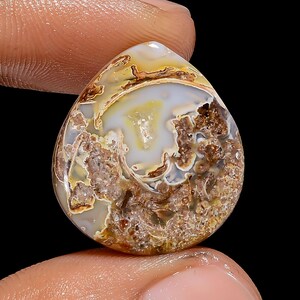 Prachtige A One-kwaliteit 100% natuurlijke gastropoden fossiele schelp Druzy peervorm cabochon edelsteen voor het maken van sieraden 16,5 kt. 22 x 20 x 5 mm G-3075