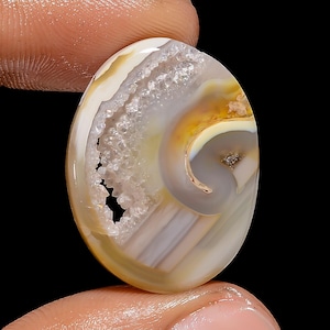 Incredible A One Quality 100% Natuurlijke Gastropoden Fossiele Schelp Druzy Ovale Vorm Cabochon Edelsteen Voor Het Maken Van Sieraden 23 Ct 27X20X5mm G3066