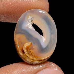 Uitstekende kwaliteit 100% natuurlijke gastropoden fossiele schelp Druzy ovale cabochon edelsteen voor het maken van sieraden 14 kt. 22 x 17 x 4 mm G-3069