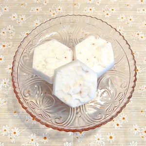 Oracle Shower Steamer