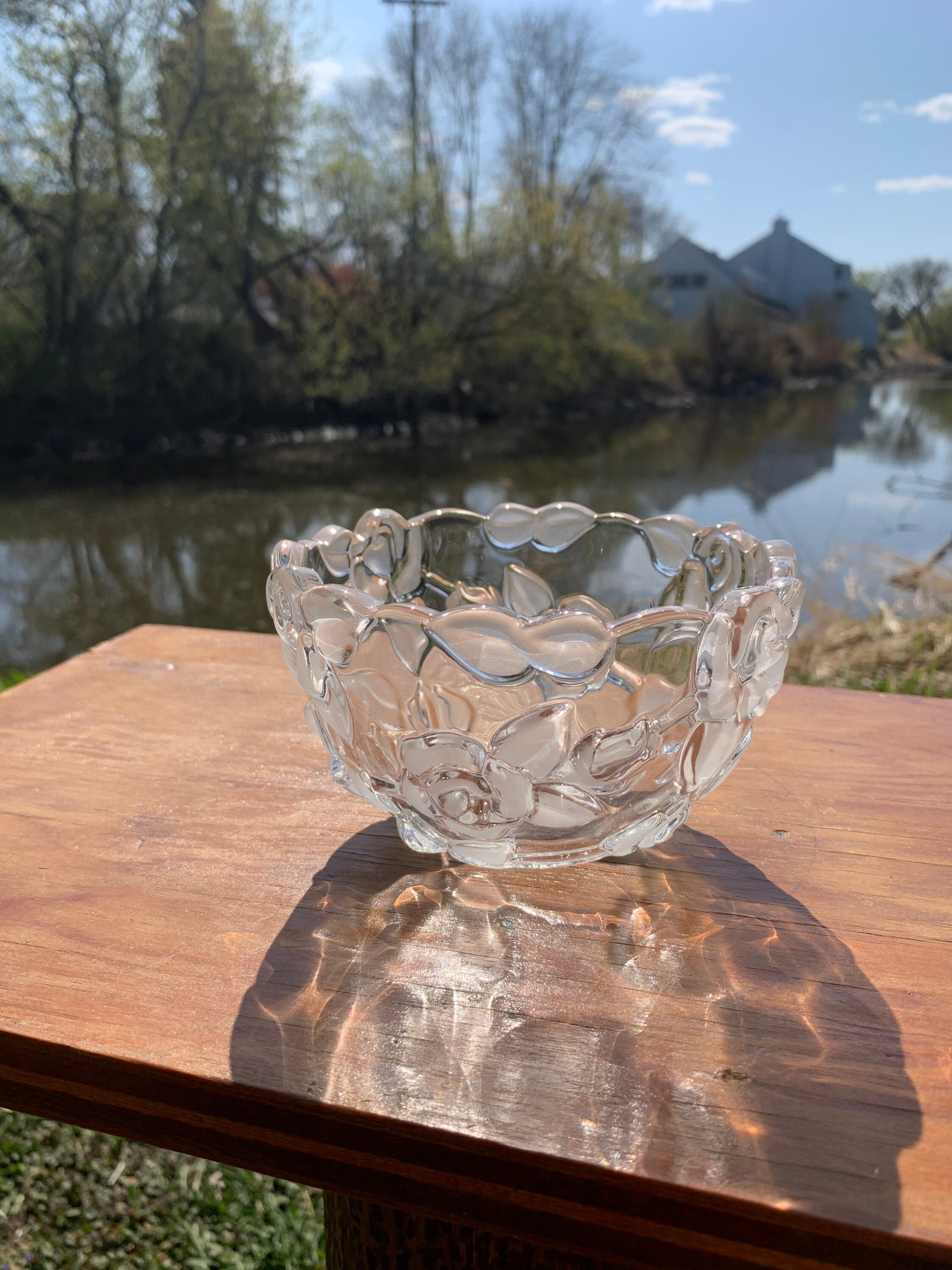 Mikasa Frosted Crystal Bowl Nova Winter Pattern Rosas Etsy