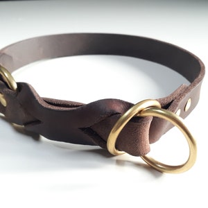 Könnte beinhalten: Ein braunes Lederhundekragen mit geflochtenem Design und zwei Messing-D-Ringen.