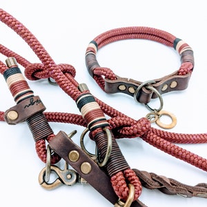 Könnte beinhalten: Ein rotes Seil-Hundehalsband-Set mit braunen Lederakzenten und Messingbeschlägen. Die Leine hat ein gestreiftes Muster und das Halsband hat einen D-Ring und eine Messing-Schnalle.