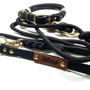 May include: A black leather dog collar with a gold buckle and a matching black leather leash with a brown leather name tag that says "Nimo". The leash is attached to a black rope leash with a gold clasp.