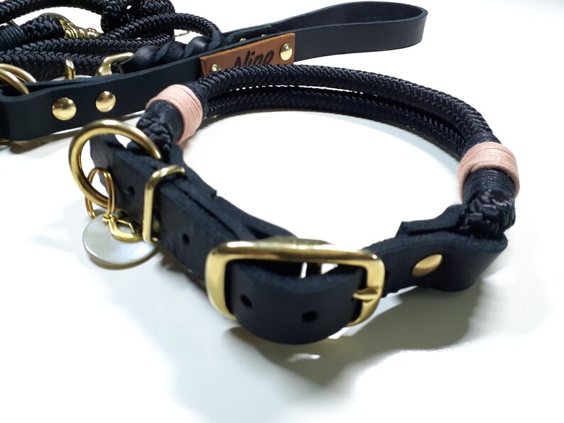 May include: Black leather dog collar with a gold buckle and a matching rope leash with pink accents. The leash has a leather tag with the name "Alice" engraved on it.