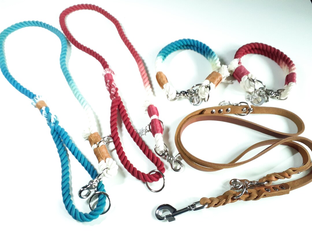 Dog Coupling Set Collar Dog Leash Shoulder Leash Ombre for Two Etsy