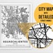 Printable Map of Aguascalientes Mexico with Street Names | Etsy