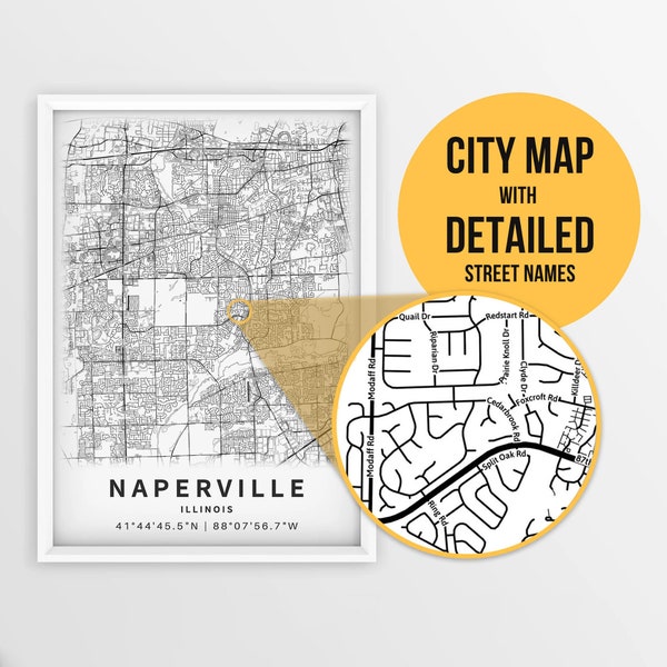 Printable Map of Naperville, Illinois, USA with Street Names - Instant Download \ City Map \ Travel Gift \ City Poster \ Road Map Print