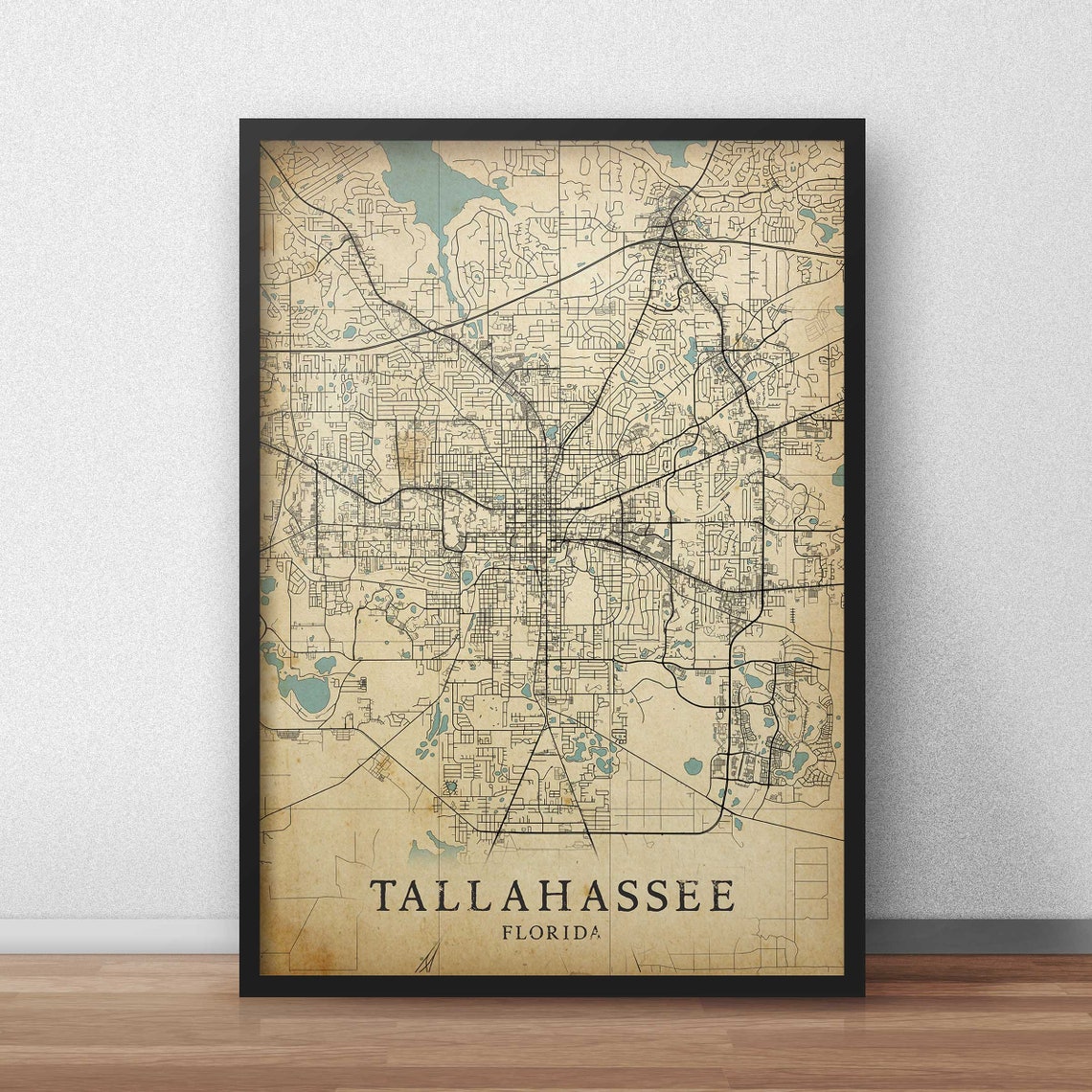 Printable Vintage Map of Tallahassee Florida United States | Etsy