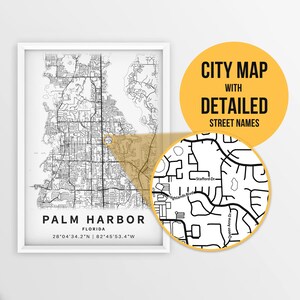 Afdrukbare kaart van Palm Harbor, Florida, VS met straatnamen - Instant Download \ Stadsplattegrond \ Reiscadeau \ Stadsposter \ Routekaart afdrukken