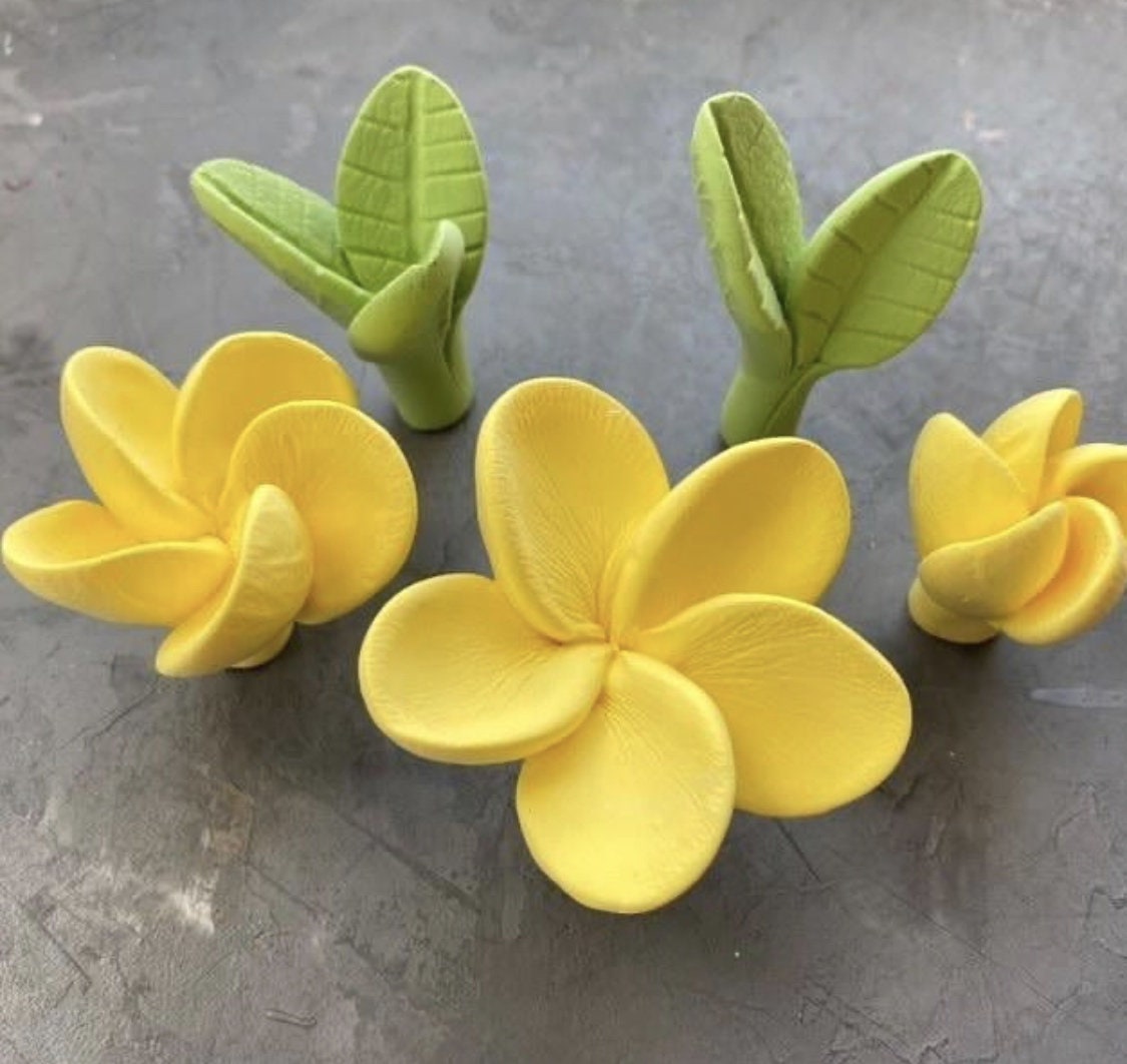 Ripakiya Tropical Flowers Leaves Plumeria Flower Mold Tropical Party Decorations Mold for DIY Chocolate Candy Cake Decorating Silicone Fondant Baking Mould