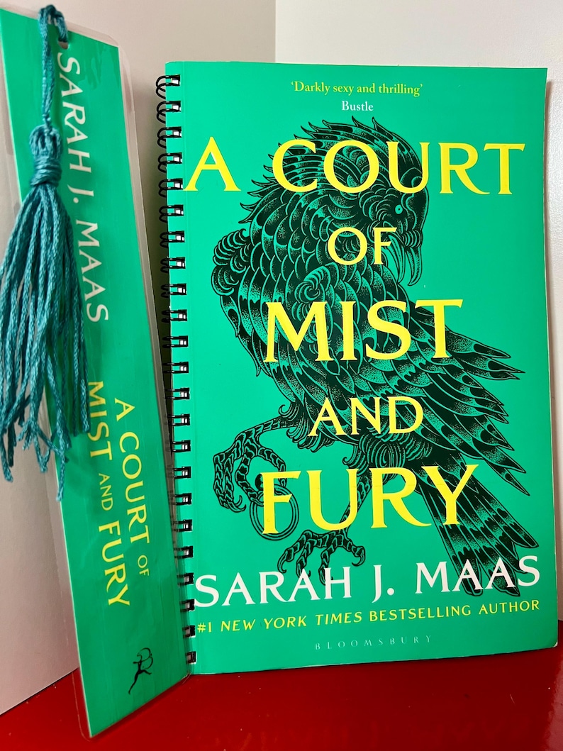 Upcycled ACOTAR Notebook – A Court of Mist and Fury Sarah J. Maas Book ...