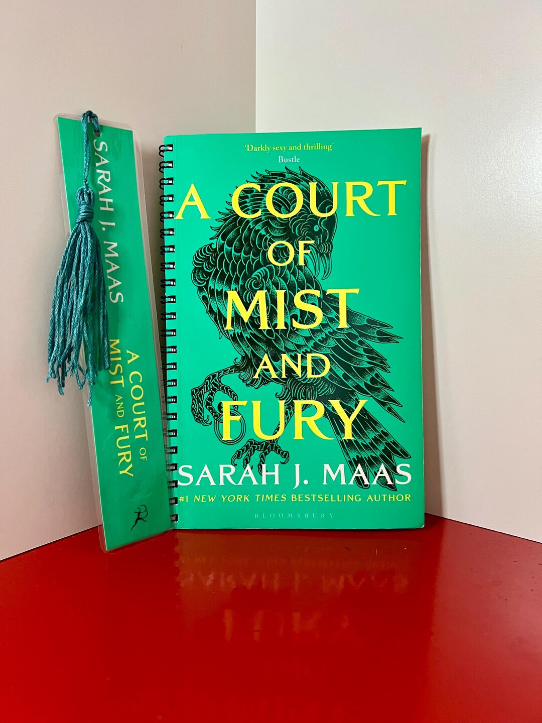 Upcycled ACOTAR Notebook – A Court of Mist and Fury Sarah J. Maas Book ...