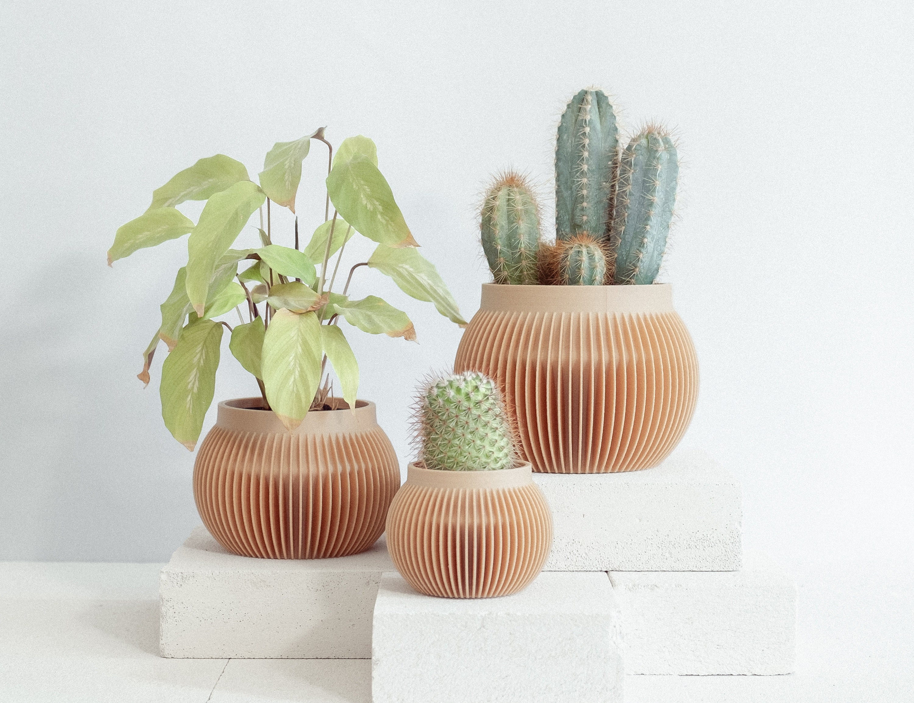 Nouveau - Pot de Fleurs Balu en Bois Recyclé Dans Un Design Unique/Différentes Tailles Parfait Comme