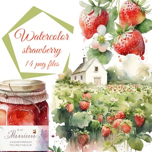 Clipart fraise, fraise aquarelle, illustration de baies, champ de fraises, clipart confiture, usage commercial gratuit, boutique POD
