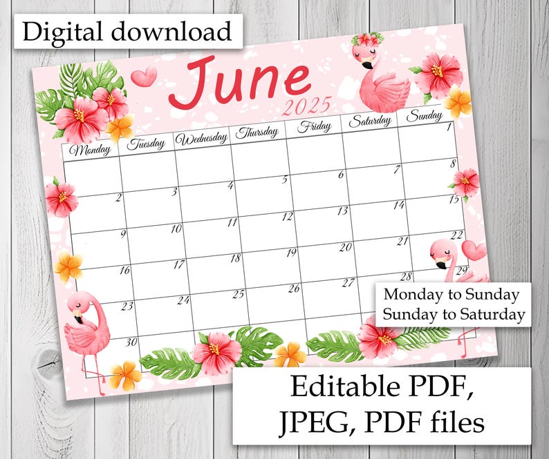 EDITABLE April 2026 Calendar, Summer Calendar, June Calendar, Printable ...