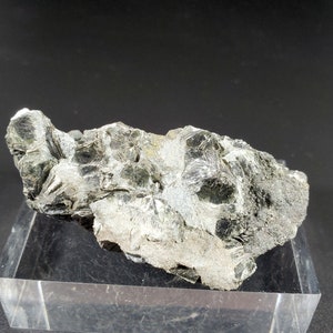Puede incluir: Una roca gris oscura y verde con una superficie rugosa y texturizada. La roca está sentada sobre un soporte de exhibición de acrílico transparente.