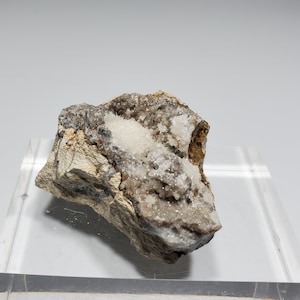 May include: A small, rough, gray rock with white crystals embedded in it. The rock is sitting on a clear glass display stand.
