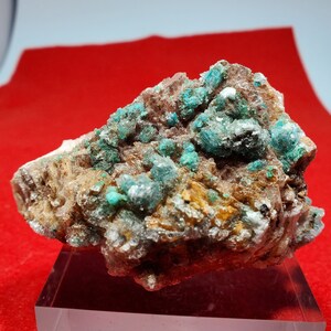 Malachite Crystals with Selenite Crystals