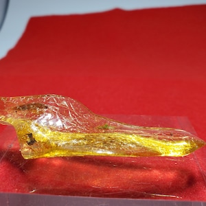 Copal or &quot;Young Amber&quot;
