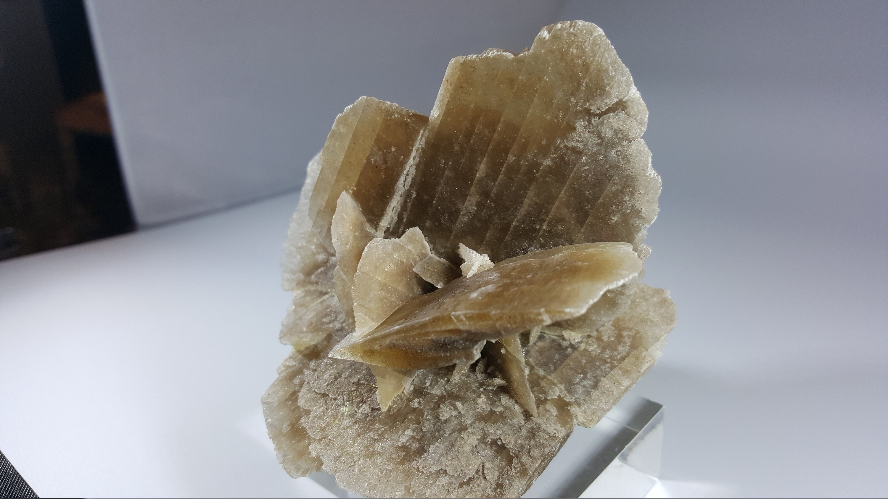 Mexico. 159 g Selenite crystals on Ganges