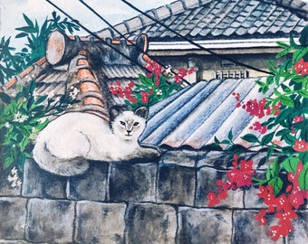 Cats of Okinawa