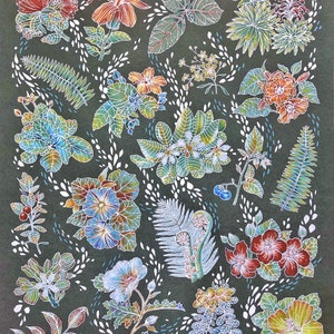 Native Hawai’i Flora