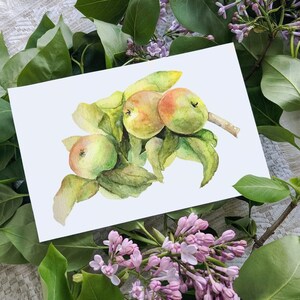 Apples Watercolor Print A3, Green Apple Kitchen Wall Art, Fruit Wall Art per cucina, Stampa Acquerello Pittura