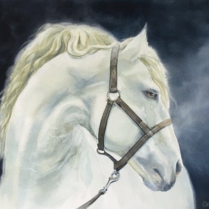 Original White Horse Watercolor – 36x48 cm Lipizzan Equine Portrait, Hand Painted Horse Head Art, Equestrian Wall Decor Gift