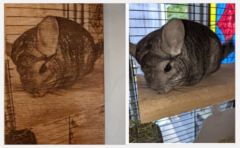 8x10 Wall-hanging Engraved Portrait Rustic Pet Art Custom Pet Portrait 5x7 10x10 Wood-burned Pet Portrait 4x6
