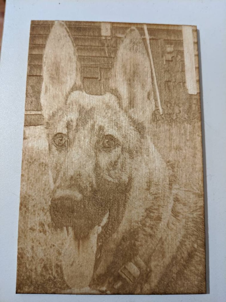 8x10 Wall-hanging Engraved Portrait Rustic Pet Art Custom Pet Portrait 5x7 10x10 Wood-burned Pet Portrait 4x6