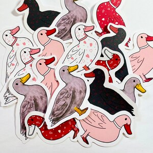 May include: A collection of 14 hand-drawn illustrations of ducks in various poses. The ducks are drawn in a cartoon style and are colored in pink, red, black, and white. Some of the ducks are wearing hearts.