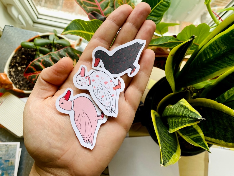 May include: Three duck stickers, one black with red hearts, one white with pink hearts, and one pink with no pattern. The stickers are on a hand.