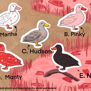 May include: Five illustrated ducks with different patterns and colors. The ducks are labeled A. Martha, B. Pinky, C. Hudson, D. Monty, and E. Noir. The background is a pink and brown landscape with hearts.