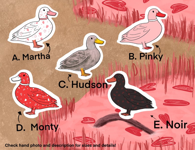 May include: Five illustrated ducks with different patterns and colors. The ducks are labeled A. Martha, B. Pinky, C. Hudson, D. Monty, and E. Noir. The background is a pink and brown landscape with hearts.