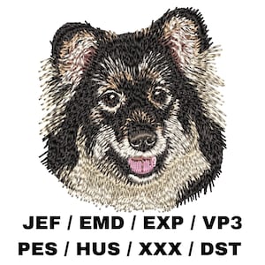 Finnish Lapphund, Lapinkoira - Spitz Breed, Dog Lover, Realistic Portrait, Animal Crafts, Cute Design, Home Decor, Fun Project, Canine Art