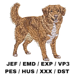 May include: Embroidered design of a brown and white Nova Scotia Duck Tolling Retriever dog. The design is available in multiple formats, including JEF, EMD, EXP, VP3, PES, HUS, XXX, and DST.