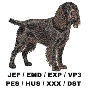 Puede incluir: Diseño bordado de un perro Braco Alemán de Pelo Corto marrón y negro de pie con la cabeza girada hacia un lado. El perro está mirando hacia el lado derecho de la imagen. El diseño es para máquinas de bordar e incluye los formatos de archivo JEF, EMD, EXP, VP3, PES, HUS, XXX y DST.