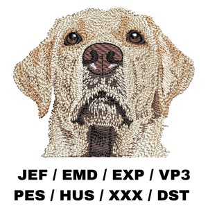 Labrador Retriever - Yellow Lab, Popular Breed, Dog Lovers Gift, Realistic Pet Portrait, Majestic Animal, Embroidery Crafter Project