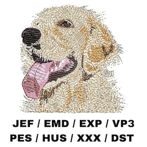 ゴールデンレトリバー 1 刺繍ファイル 犬のアート リアルな犬