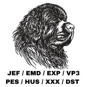 May include: Black and white line art illustration of a Newfoundland dog's head. The dog is looking to the right. JEF / EMD / EXP / VP3 PES / HUS / XXX / DST